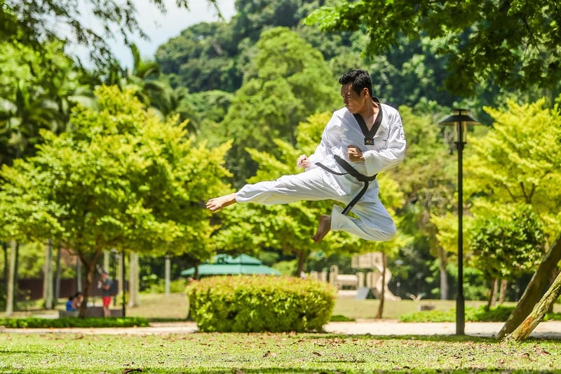 Sun Style Tai Chi Image