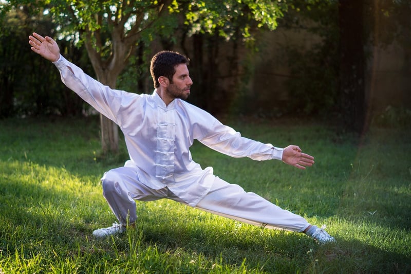 Chen Style Tai Chi
